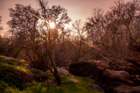 River Sunburst