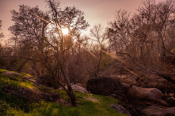 River Sunburst