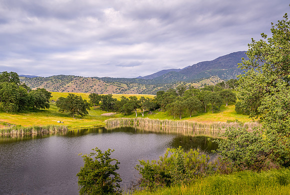 Lake Northeast