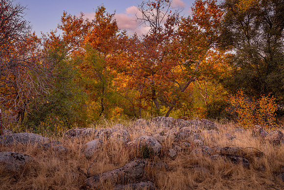 Fall West 1