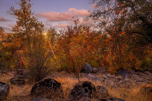 Fall West 6