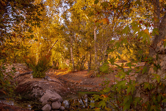Fall North 2