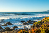 Cambria Afternoon 2