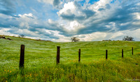 Far Afield