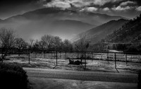 Eastern View B-W