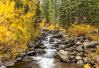 Bishop Creek Fall Colors