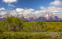 Jackson Lake Vista