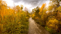 Stormy Tule River