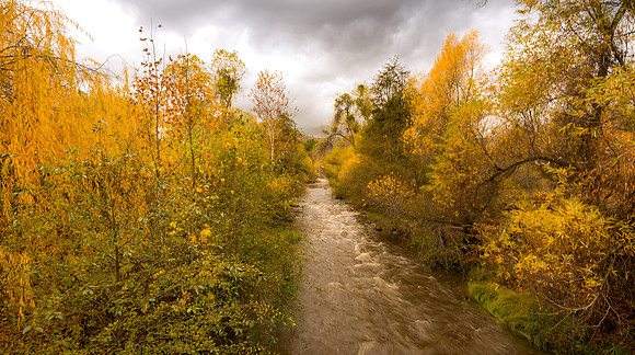 Stormy Tule River