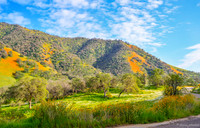 The Hills are Alive