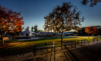 Centennial Park Morning