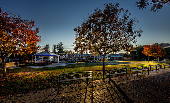 Centennial Park Morning
