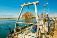 Morro Rock Framed