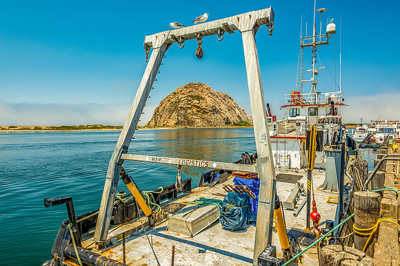Morro Rock Framed
