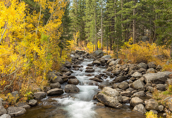 Bishop Creek