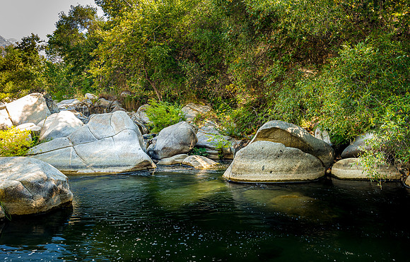 Whale Rock V