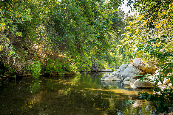 Downstream 1