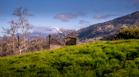 Backyard North 2
