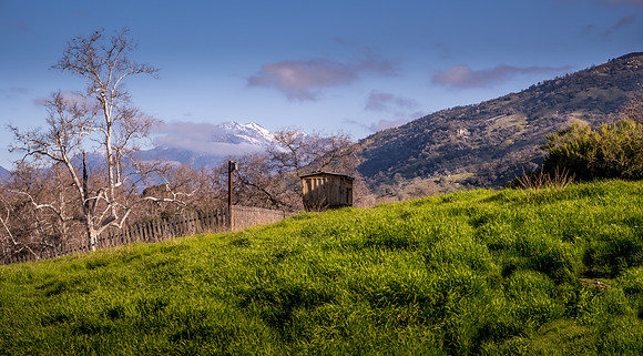 Backyard North 2