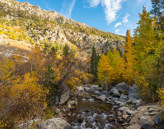 Bishop Creek in Fall 2