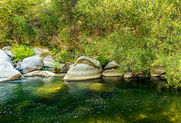 Whale Rock Wide II