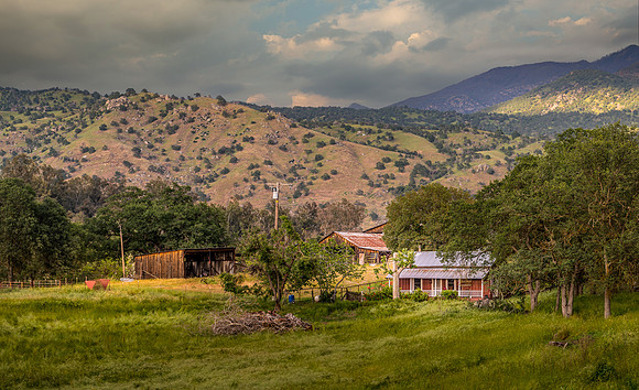 Homestead