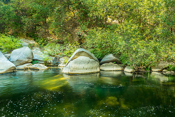 Whale Rock II