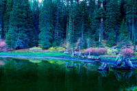 Balch Park Pond Fall Color II