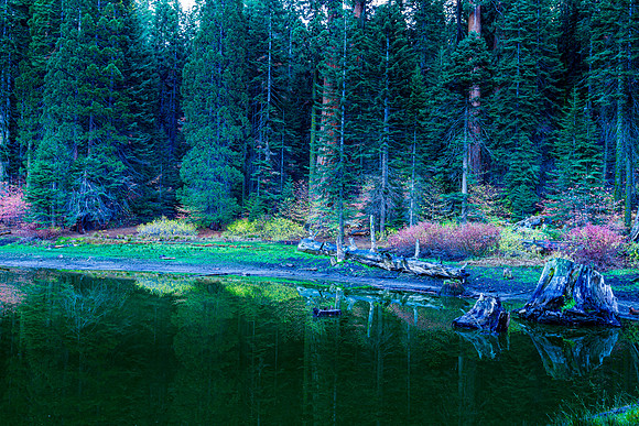 Balch Park Pond Fall Color II