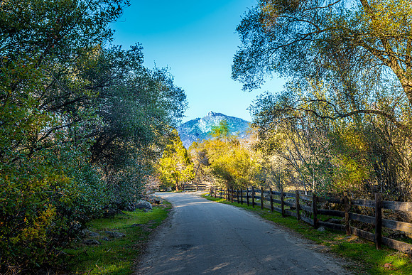 Battle Mountain Drive