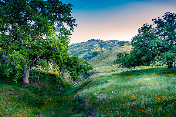Arroyo