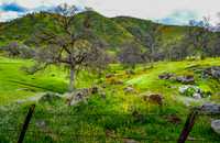Yokohl Valley Glen