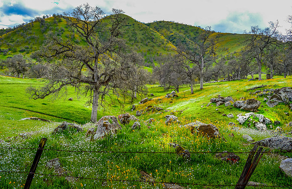 Yokohl Valley Glen