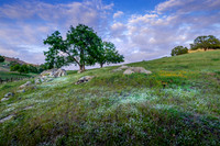 Popcorn Hill
